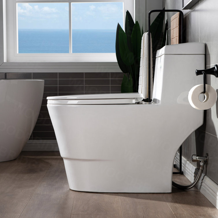 White Elongated Dual Flush High Efficiency One Piece Toilet