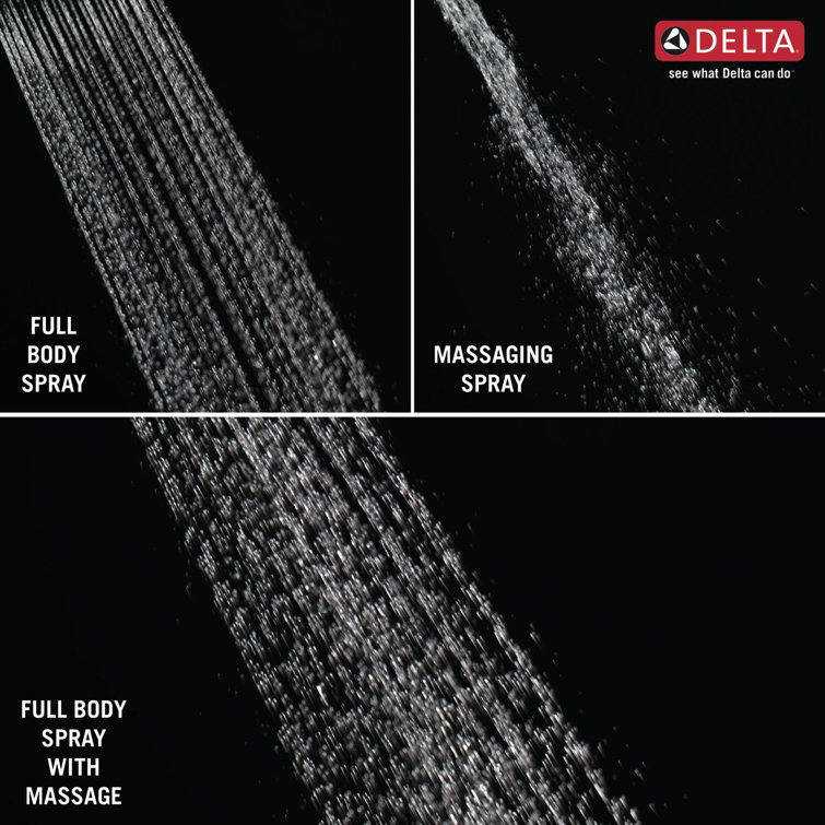 Chrome Dual Handheld and Rain Shower Head with Filter