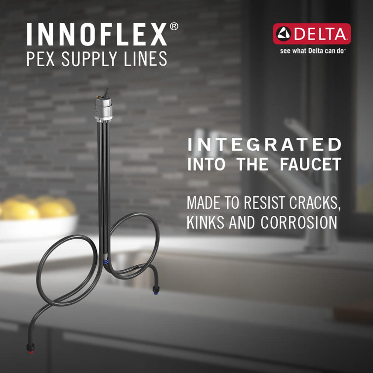 Polished Nickel Traditional Pull-Out Spray Kitchen Faucet