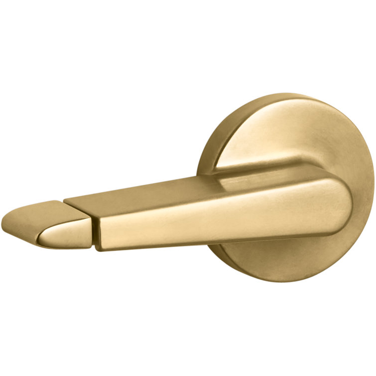 Vibrant Brushed Brass Dual-Flush Side Lever