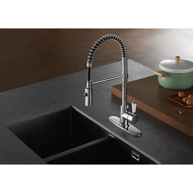 Paris Polished Chrome Single Handle Pull-Down Kitchen Faucet