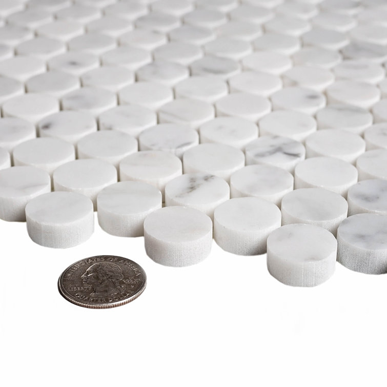 White and Gray Polished Marble Penny Round Mosaic Tile