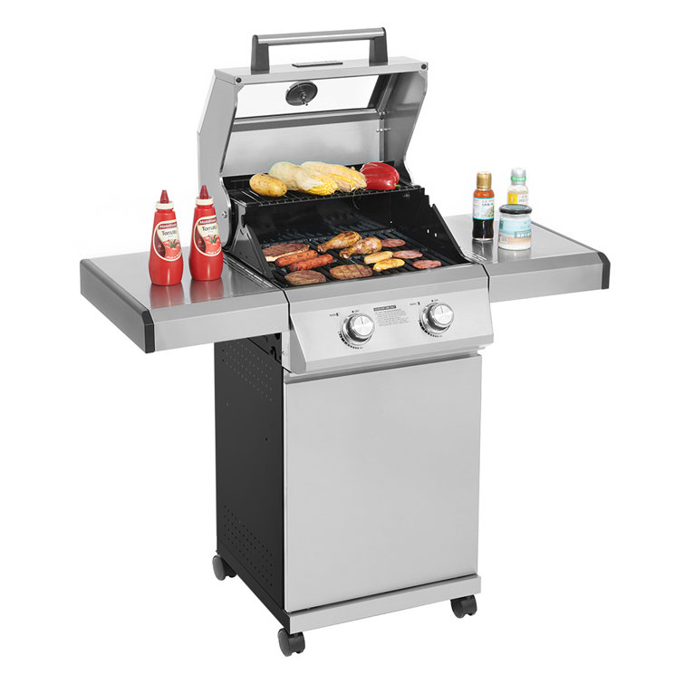 Monument 2-Burner Stainless Steel Propane Gas Grill with Clearview Lid