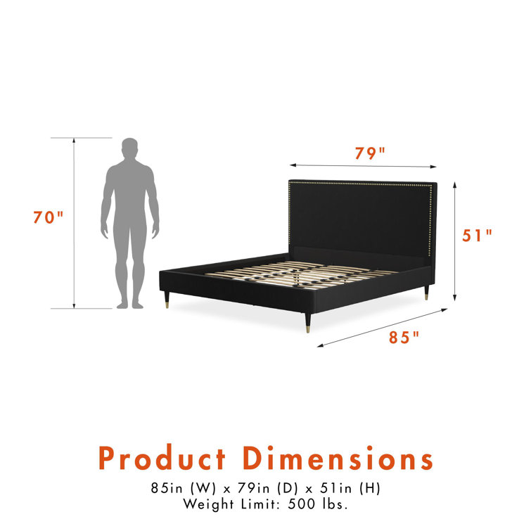 Audrey King Black Velvet Upholstered Platform Bed with Nailhead Trim