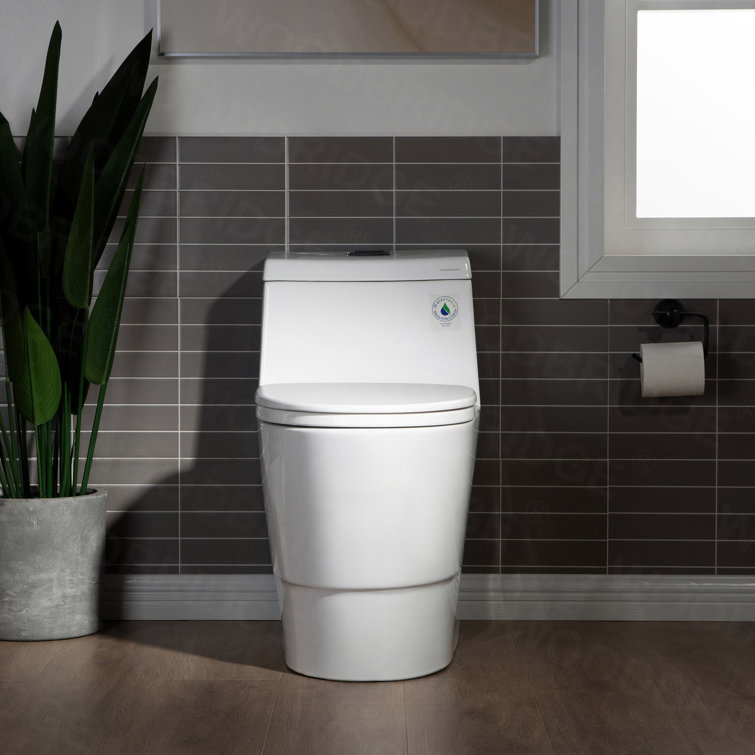 White Elongated Dual Flush High Efficiency One Piece Toilet