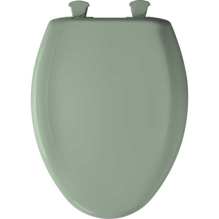 Desert Bloom Gloss Finish Elongated Plastic Toilet Seat with Soft Close Lid