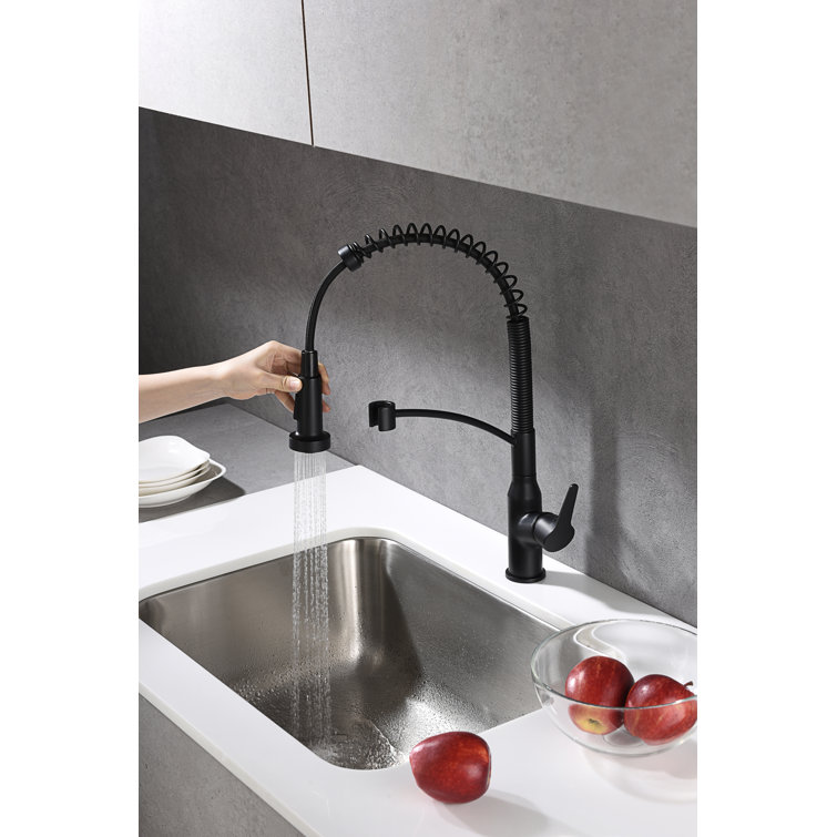 Matte Black Brass Pull-Down Sprayer Kitchen Faucet