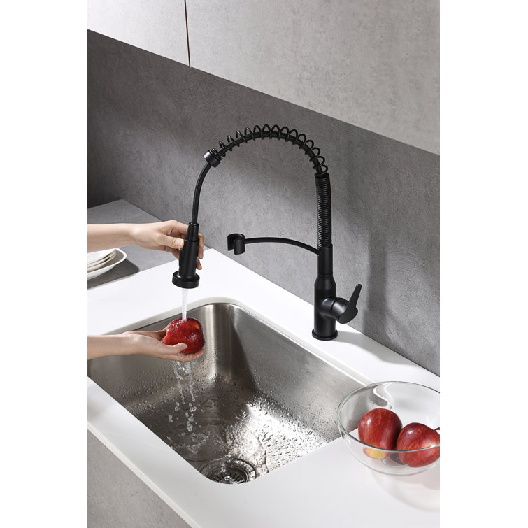 Matte Black Brass Pull-Down Sprayer Kitchen Faucet