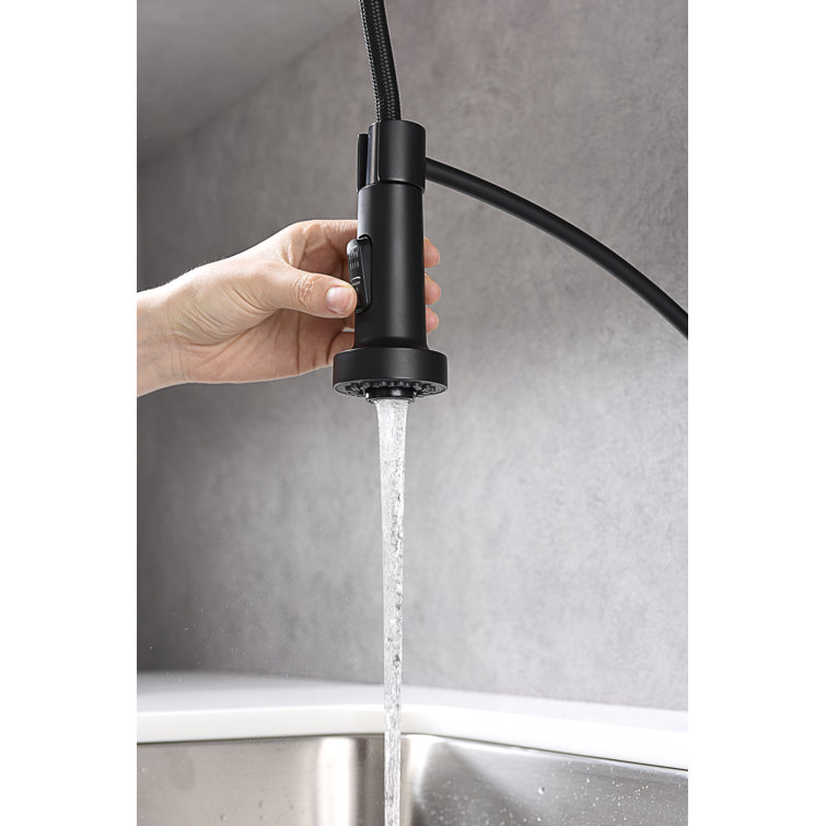 Matte Black Brass Pull-Down Sprayer Kitchen Faucet