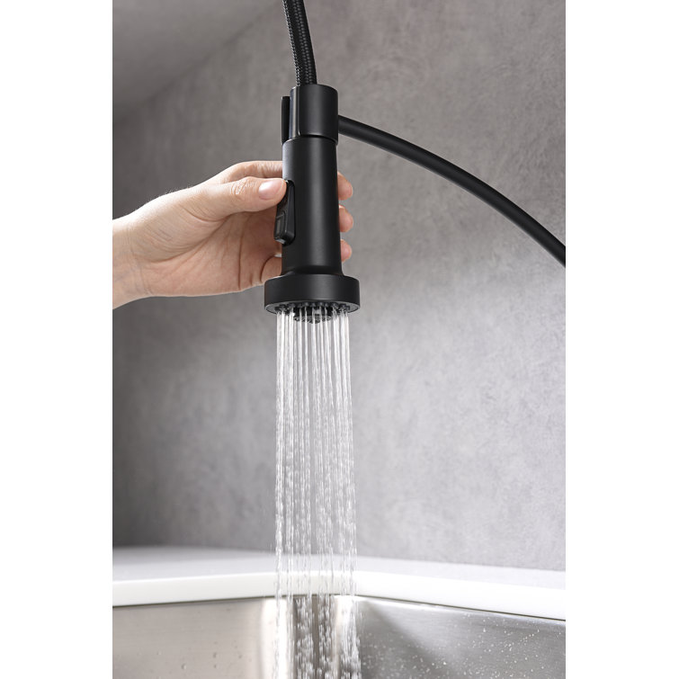 Matte Black Brass Pull-Down Sprayer Kitchen Faucet