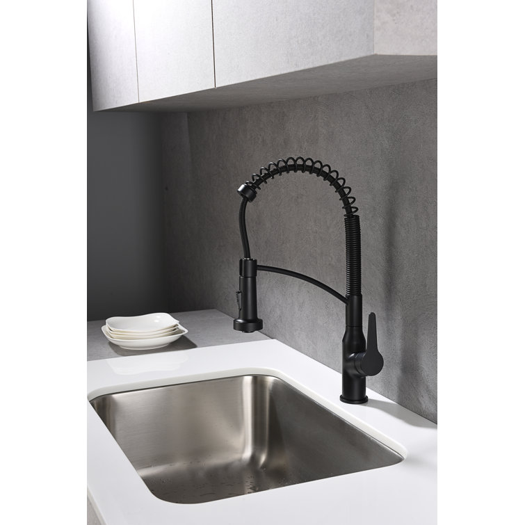 Matte Black Brass Pull-Down Sprayer Kitchen Faucet