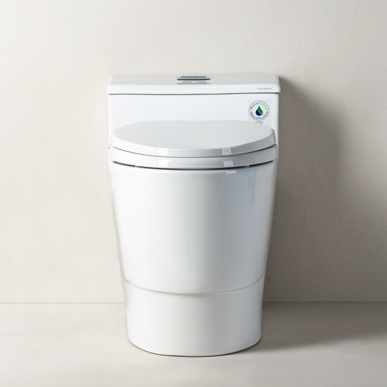 White Ceramic One-Piece Dual Flush Toilet with Chrome Button