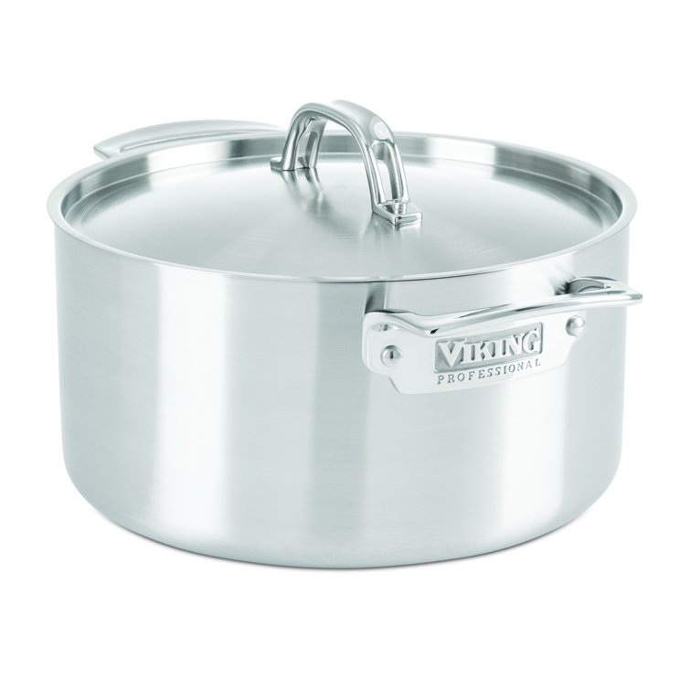 6-Quart Brushed Stainless Steel Stockpot with Lid