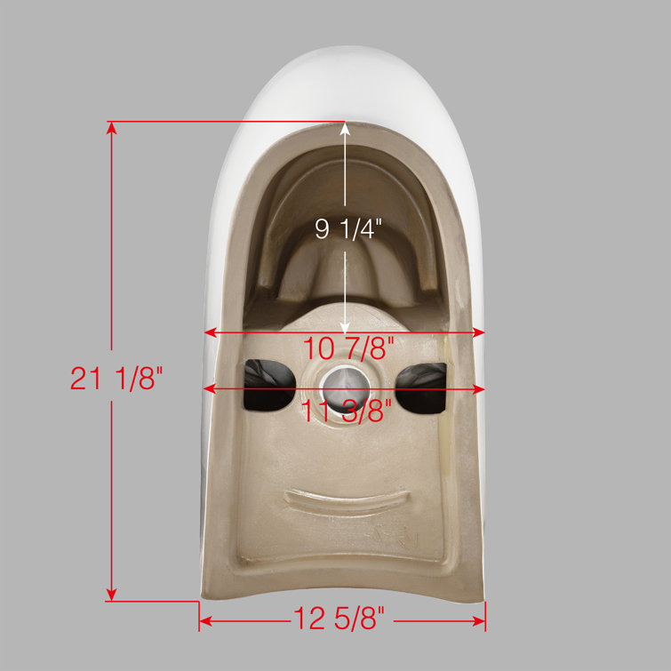 White Porcelain Elongated One-Piece Dual Flush Toilet with Smart Bidet
