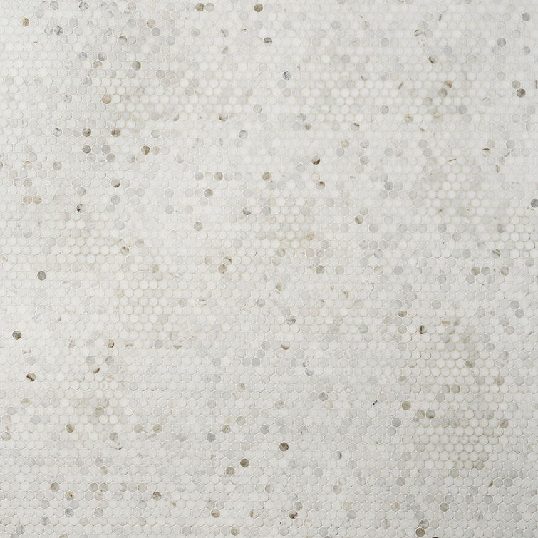 Polar White Penny Round Polished Marble Mosaic Tile