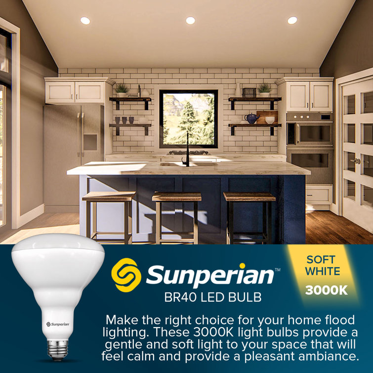White Dimmable LED Flood Light Bulbs, 12-Pack