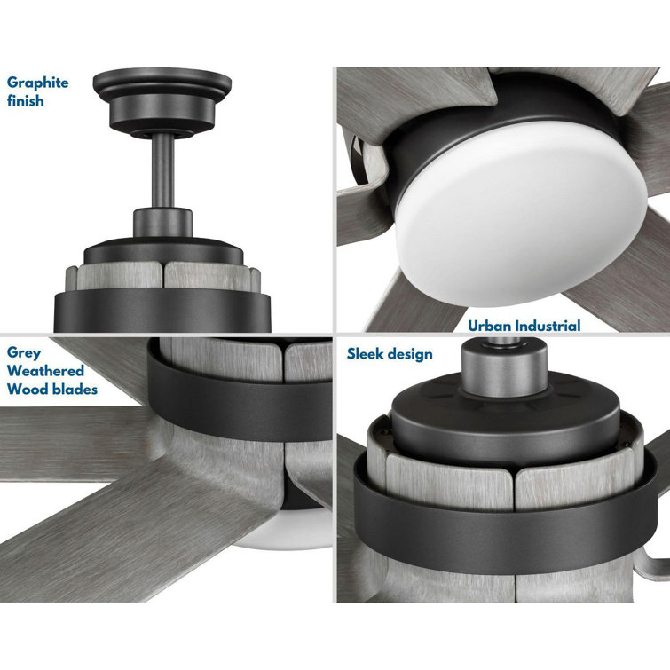 Graphite 56'' 6-Blade Ceiling Fan with LED Light and Remote
