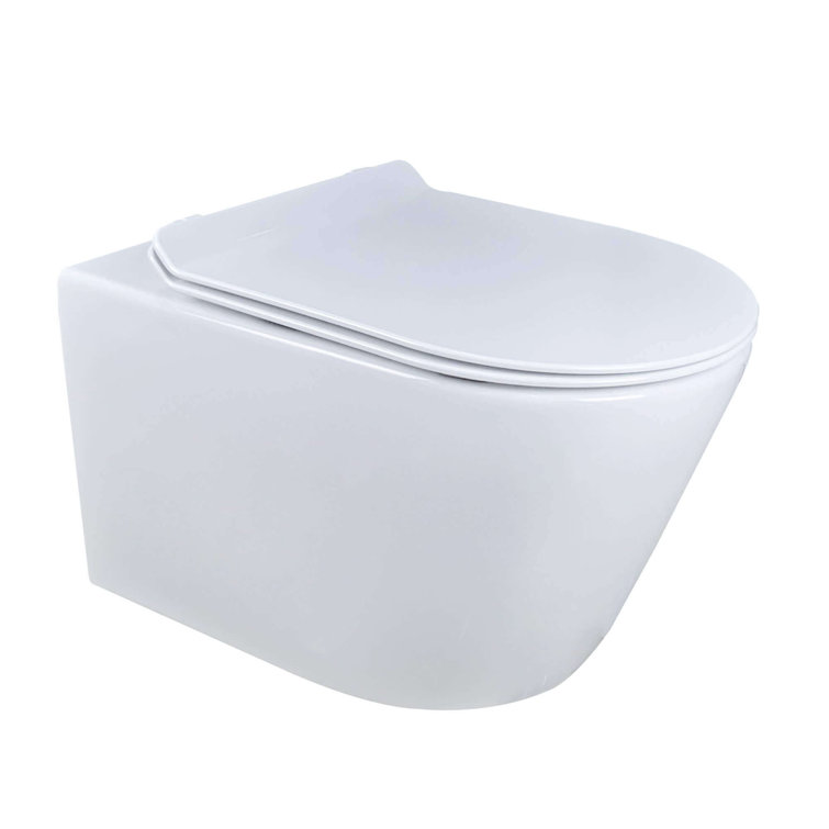 White High Efficiency Wall Mounted Dual Flush Toilet with Soft-Close Seat