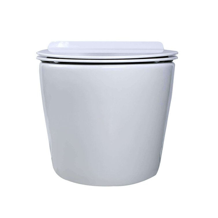 White High Efficiency Wall Mounted Dual Flush Toilet with Soft-Close Seat