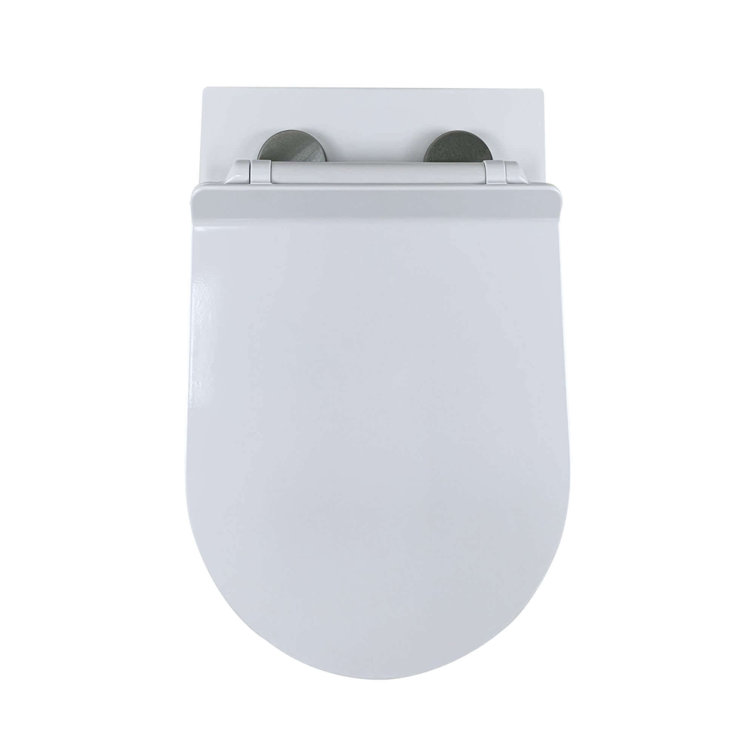 White High Efficiency Wall Mounted Dual Flush Toilet with Soft-Close Seat