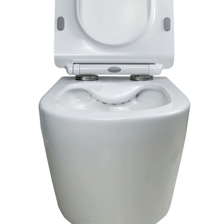 White High Efficiency Wall Mounted Dual Flush Toilet with Soft-Close Seat