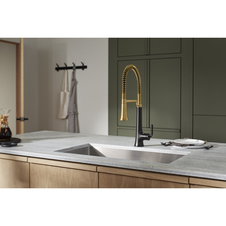 Matte Black and Brass Semi-Professional Kitchen Faucet with Pull-Out Spray