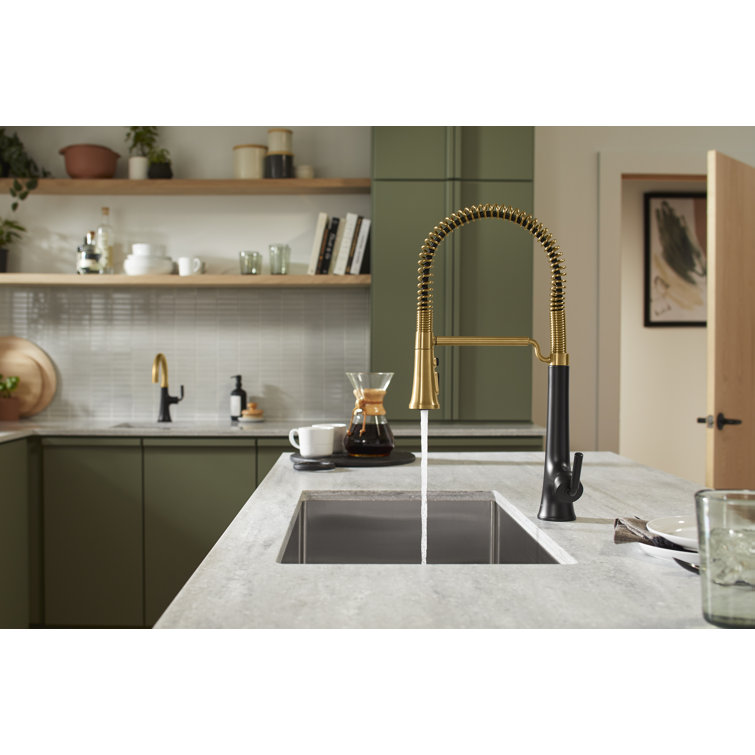 Matte Black and Brass Semi-Professional Kitchen Faucet with Pull-Out Spray
