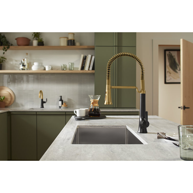 Matte Black and Brass Semi-Professional Kitchen Faucet with Pull-Out Spray