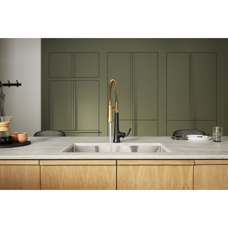 Matte Black and Brass Semi-Professional Kitchen Faucet with Pull-Out Spray