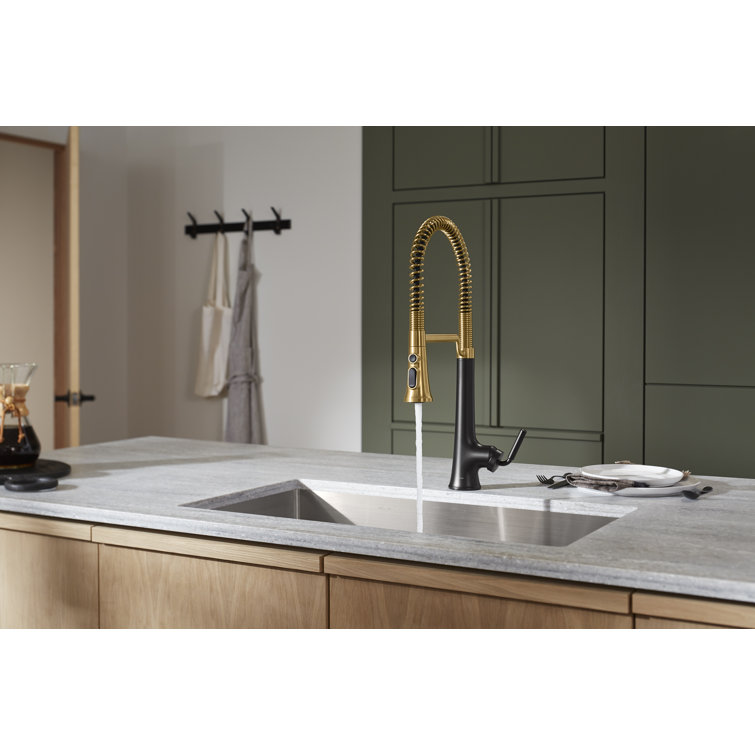 Matte Black and Brass Semi-Professional Kitchen Faucet with Pull-Out Spray