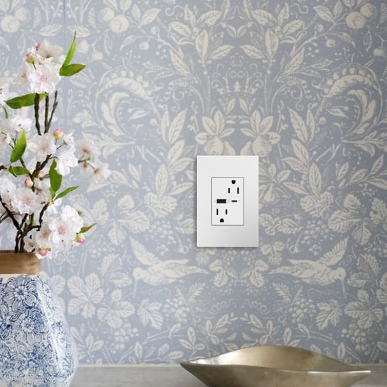 White Tamper Resistant Outlet with Dual USB Ports and Wall Plate
