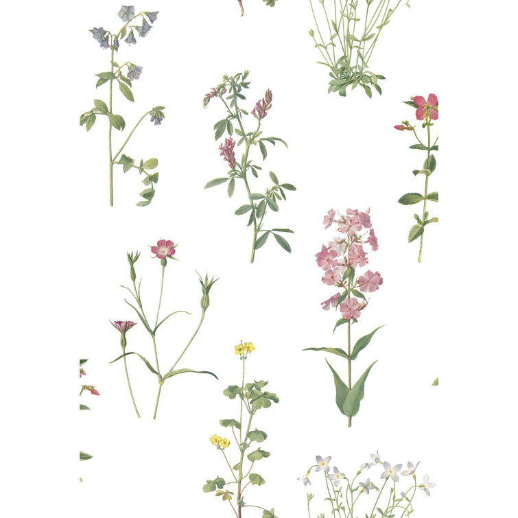 Green and Pink Floral Botanical Peel and Stick Wallpaper Roll