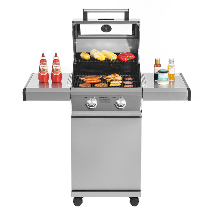 Monument 2-Burner Stainless Steel Propane Gas Grill with Clearview Lid
