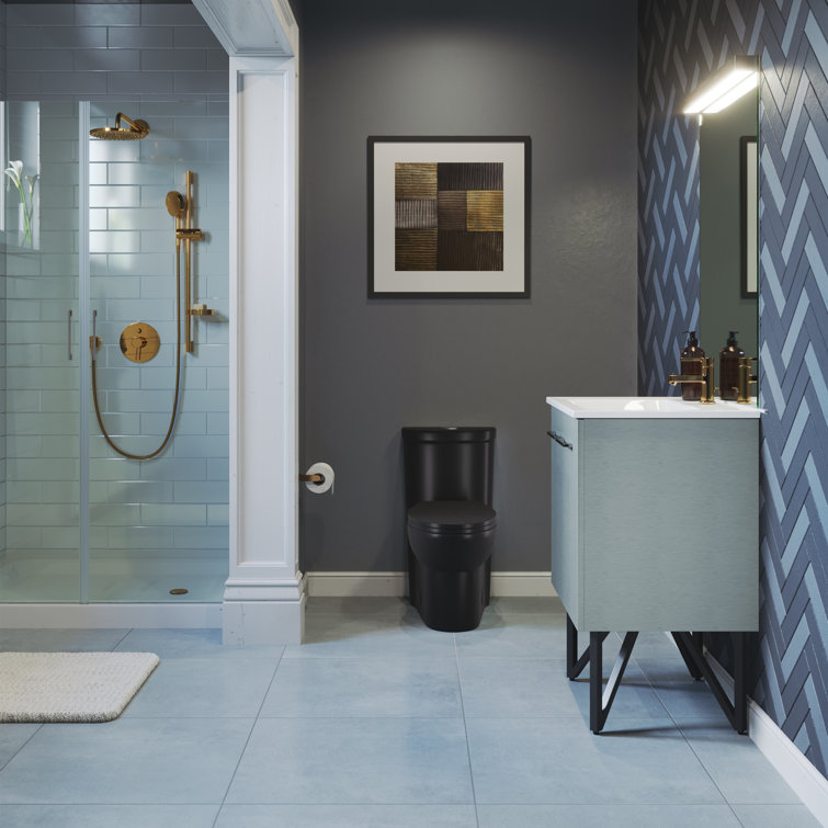 Sublime Matte Black Ceramic One-Piece Elongated Toilet