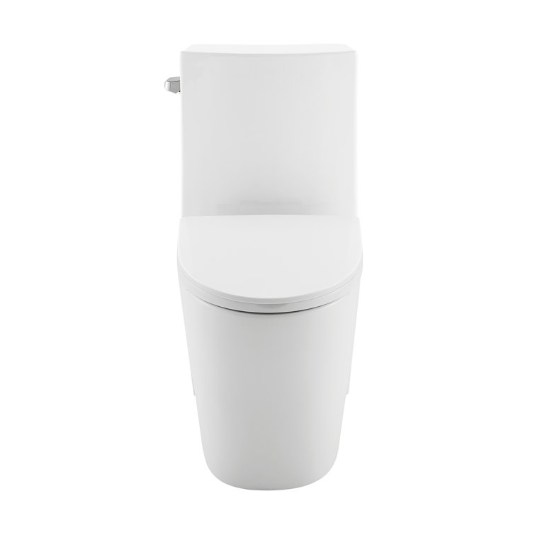 Glossy White High Efficiency One-Piece Elongated Toilet