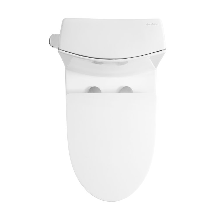 Glossy White Elongated One-Piece Toilet with Dual Flush