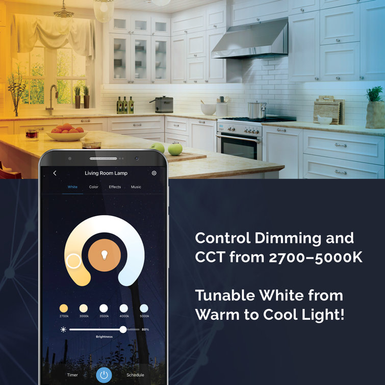Starfish Smart LED Recessed Downlight - White, Indoor/Outdoor, Energy-Efficient