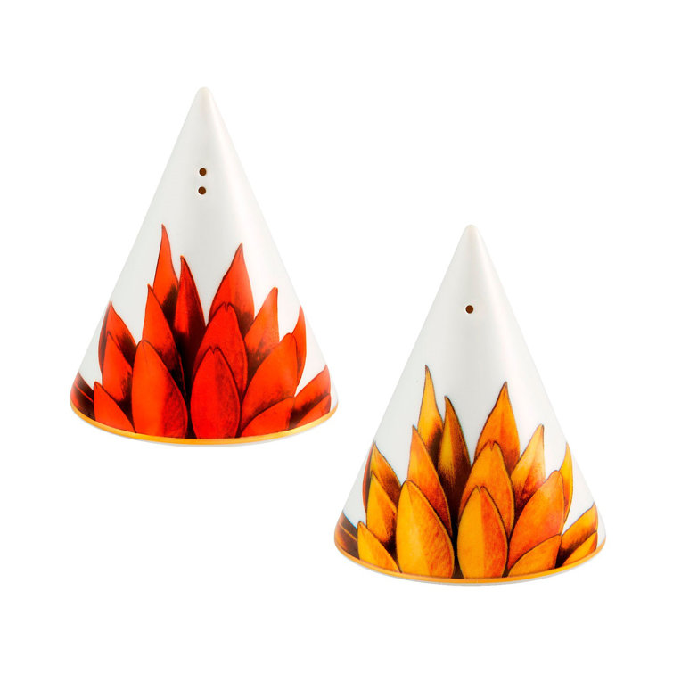 Amazonia Porcelain Contemporary Salt and Pepper Shaker Set