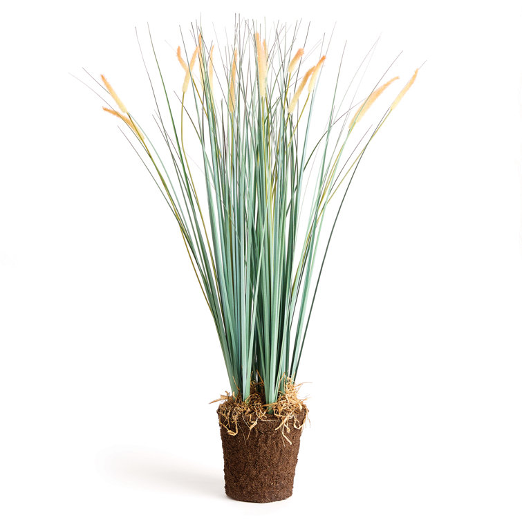 Rustic Multicolor Faux Pampas Grass Potted Plant