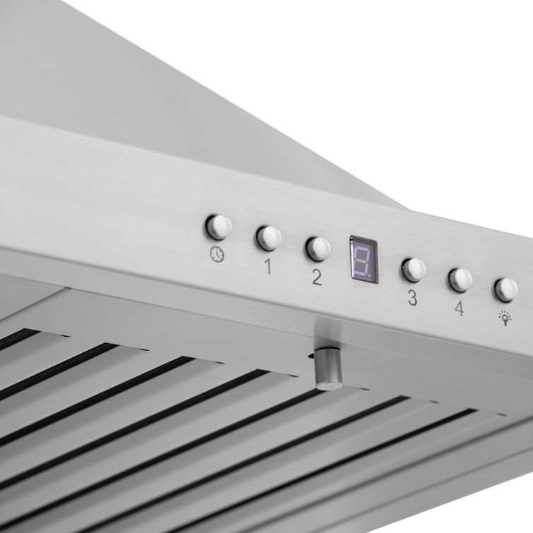 Stainless Steel 30" Convertible Wall Mount Range Hood with Charcoal Filters
