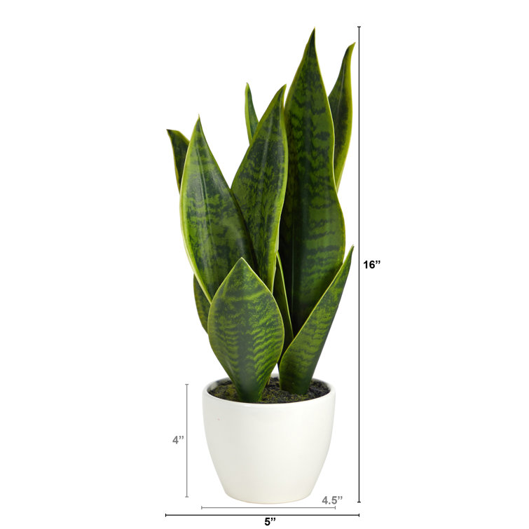 16'' Green Artificial Snake Plant in White Planter
