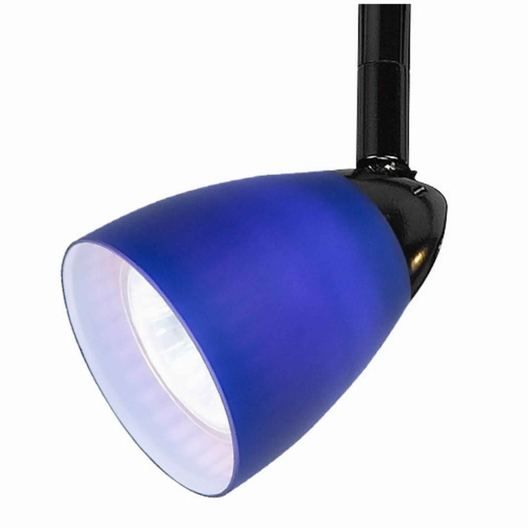 Black and Blue Adjustable Track Head with Glass Shade
