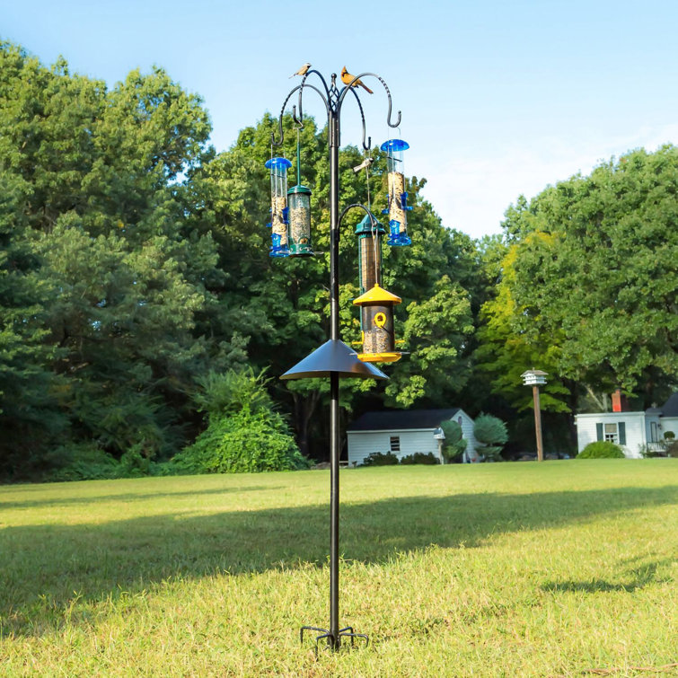 Tall Black Metal Squirrel Resistant Bird Feeding Station