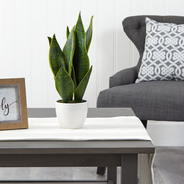 16'' Green Artificial Snake Plant in White Planter