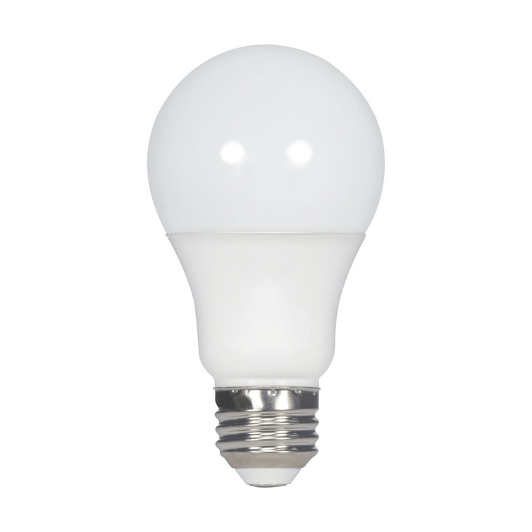 White Frosted A19 LED Energy Star Light Bulb