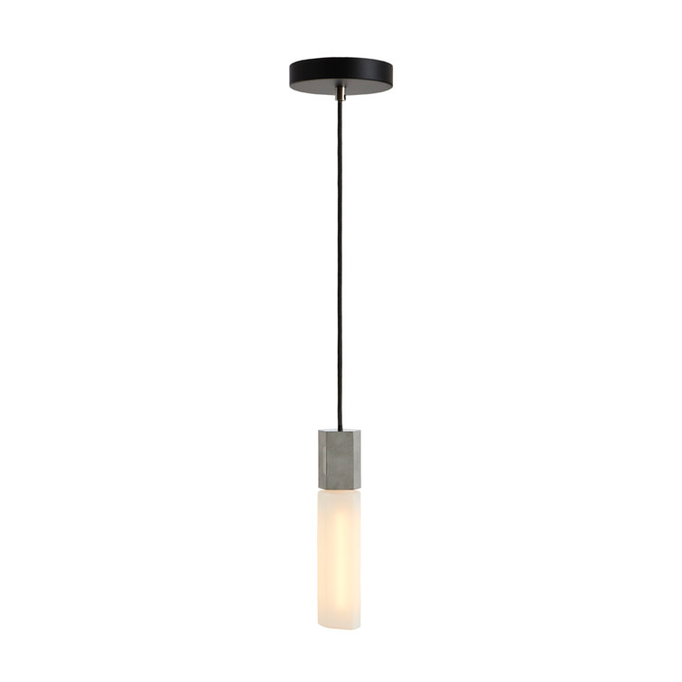 Mini Stainless Steel and Glass Indoor/Outdoor Pendant Light