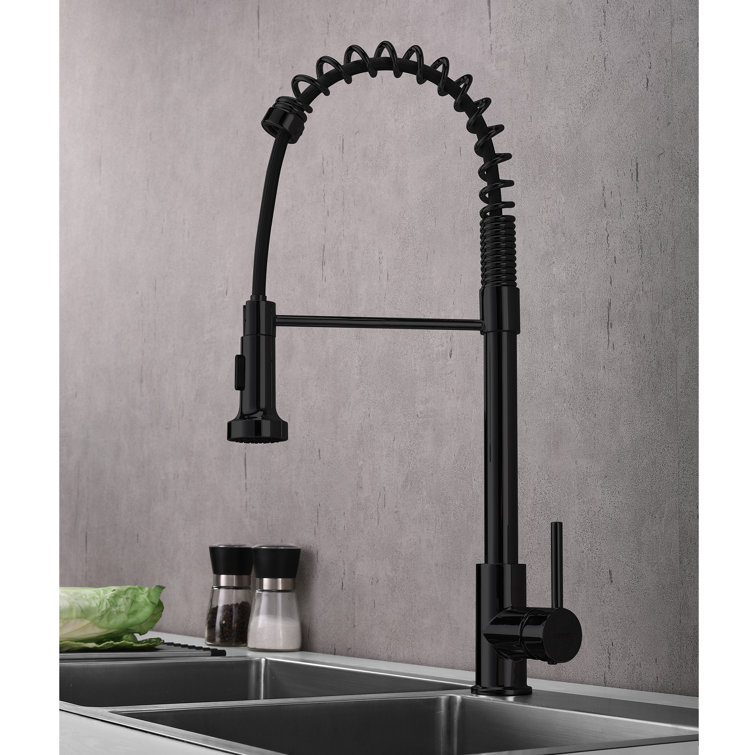 Black Stainless Steel Pull-Out Spray Kitchen Faucet