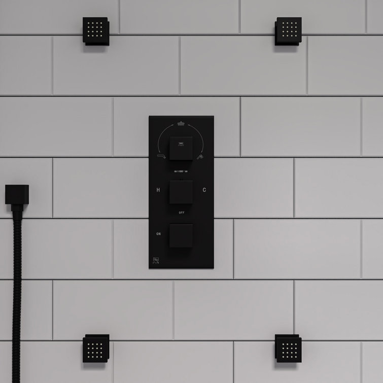 Black Matte Brass Adjustable Wall-Mounted Handshower Set