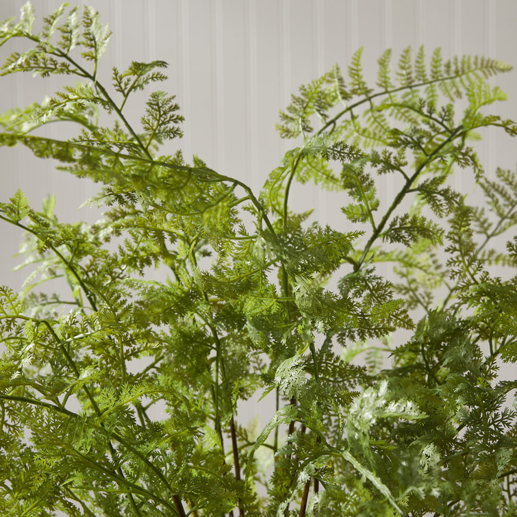 Lush Green Faux Fern Plant in Black Pot, 36"