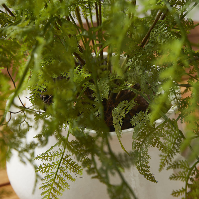 Lush Green Faux Fern Plant in Black Pot, 36"